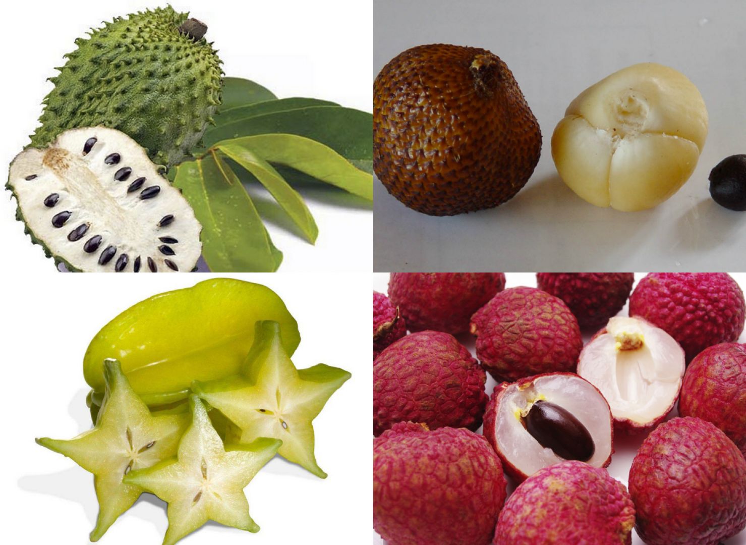 Почему фрукт назвали фруктом. Тропические фрукты маракуйя личи папайя. Фрукт Нубия. Фрукты экзотическиеназвани. Экзотический фрукт зеленого цвета.