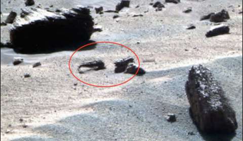 На Марсе обнаружили признаки жизни животных