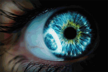 Учёные выяснили, как определить талант человека «на глаз»