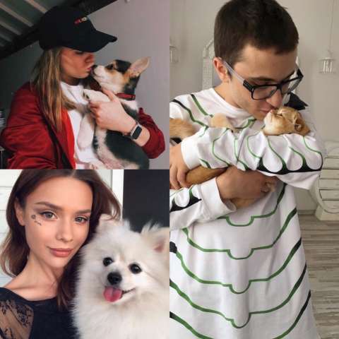 Instagram-аккаунты домашних животных блогеров
