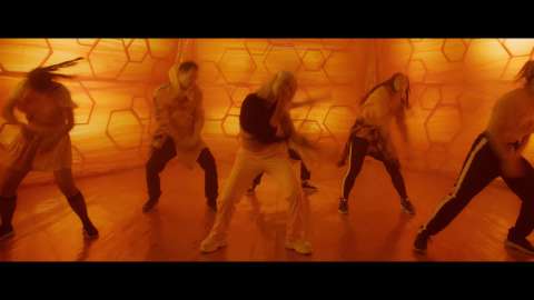 RASA - ПЧЕЛОВОД